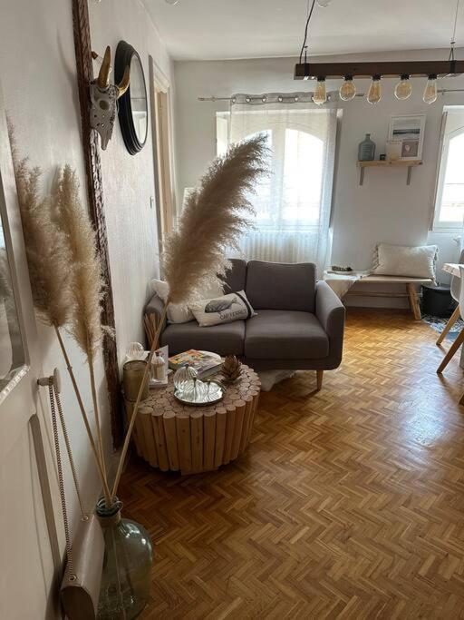 Appartement Carmes, Hypercentre Тулуза Екстериор снимка